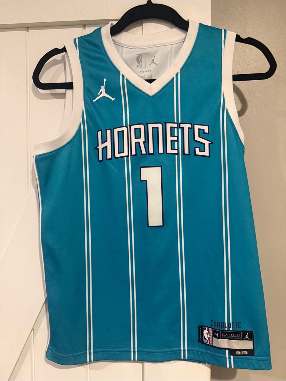 Jordan Teal Hornets #1 Basketball Jersey